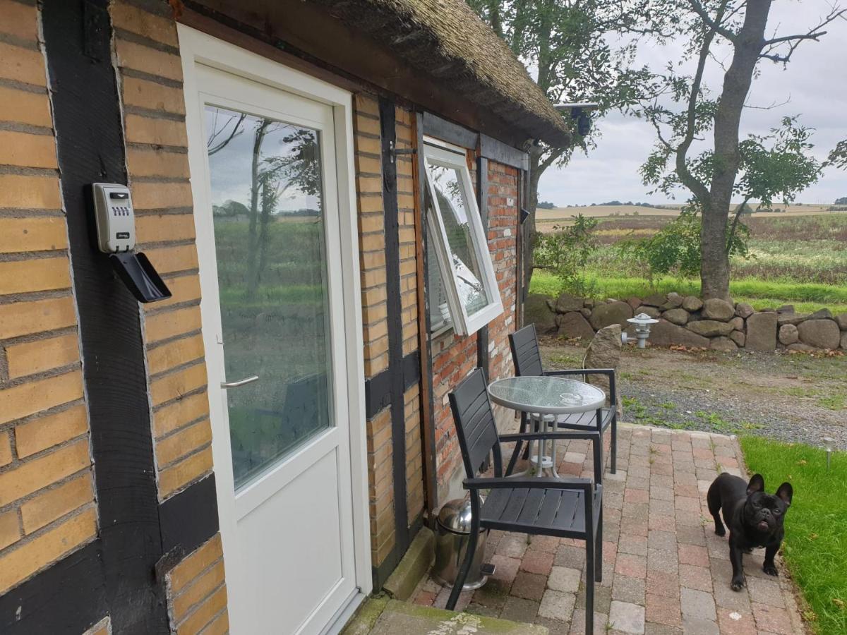 Apartment Cozy Hideaway - Rustic Charm & Outdoor Adventure 1 *